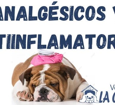 ANALGESICOS y ANTIINFLAMATORIOS