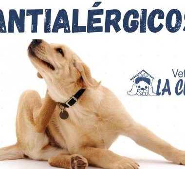 ANTIALERGICOS