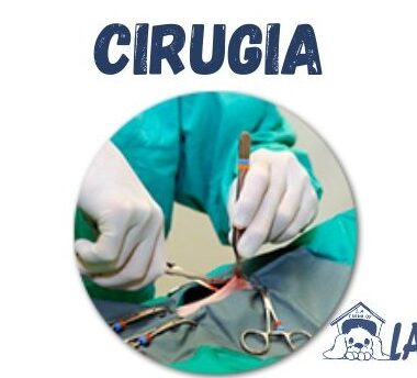 CIRUGÍAS