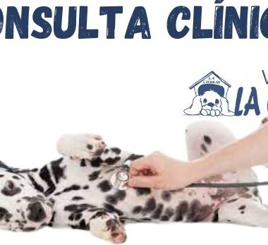 CONSULTA CLINICA