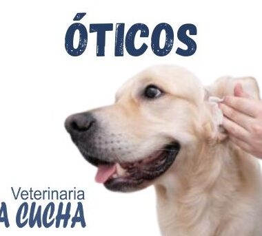 OTICOS