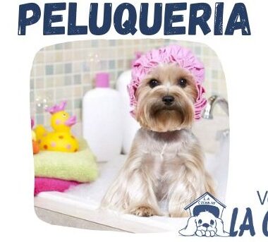 PELUQUERIA