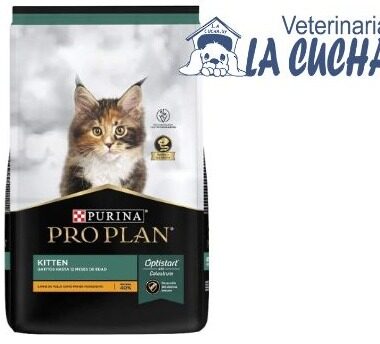 PROPLAN Ración para Gatitos, KITTEN. Presentación bolsa de 1 y 3 kg.