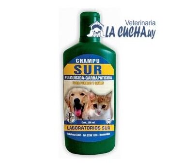 SHAMPOO SUR PQ8, 250 cc