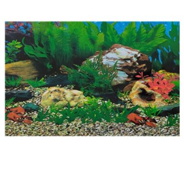 Lamina decorativa para pecera acuario