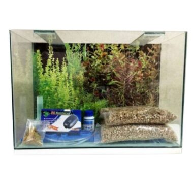 Pecera completa Vidrio 3 mm 24,3  lts con accesorios