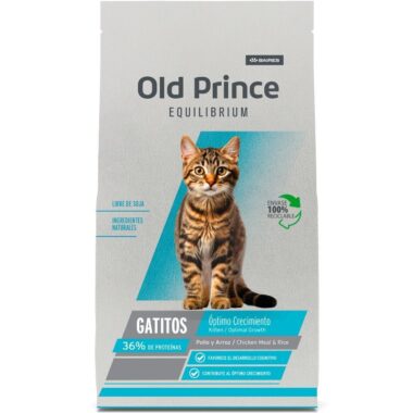 Old prince equilibrium gatito kitten