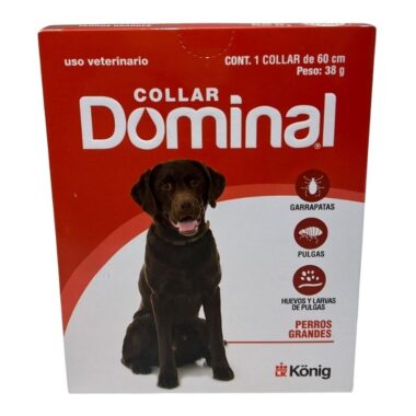 Collar dominal grande