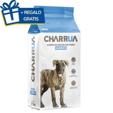 Charrua Perro Cachorro