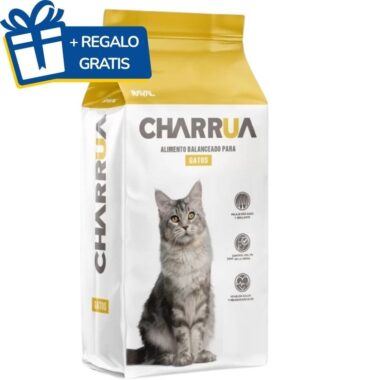 Charrua gato