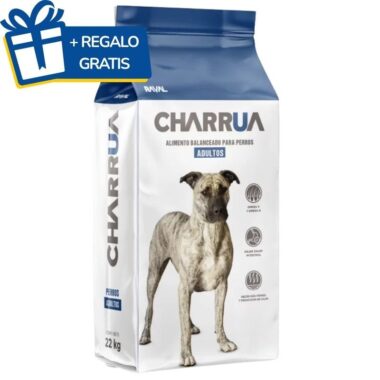 Charrua Perro Adulto 22 kg